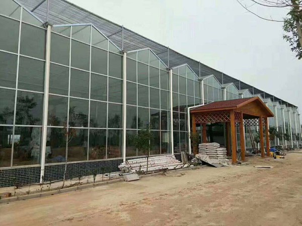 生態餐廳